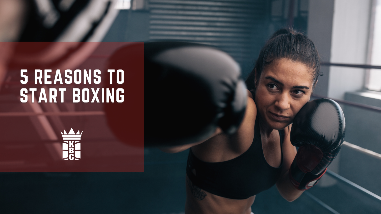 5 REASONS TO START BOXING | With So Many Options We Have The Perfect Starting Point!