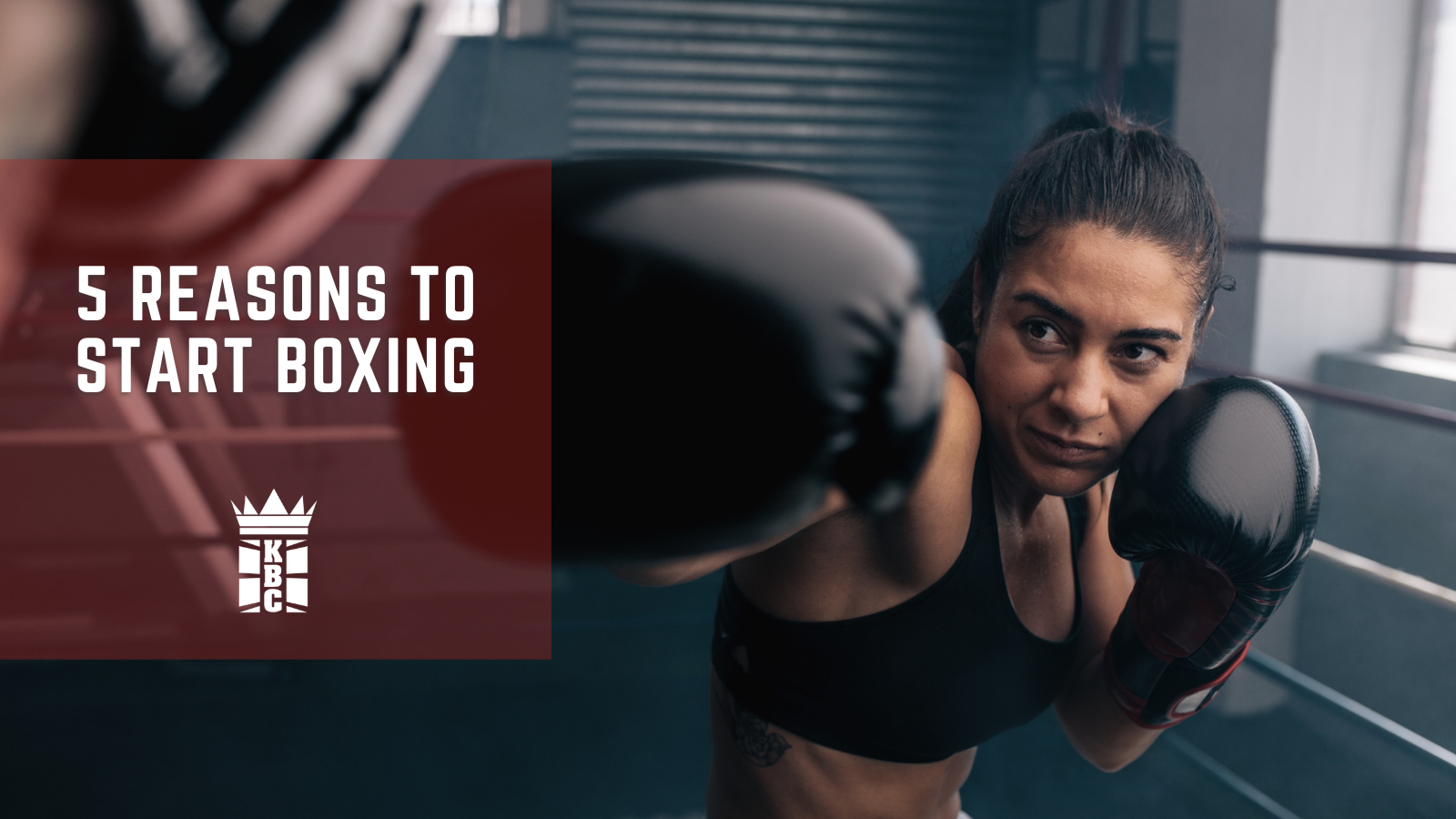 5 REASONS TO START BOXING | With So Many Options We Have The Perfect ...