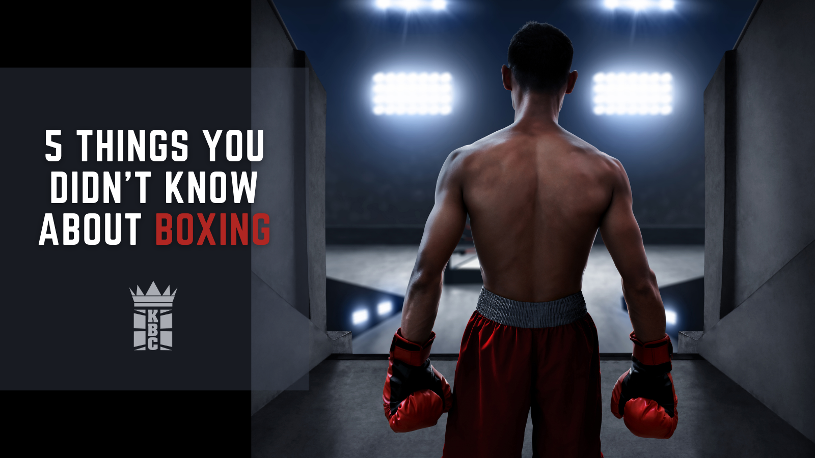 16 Intriguing Facts About Boxing 