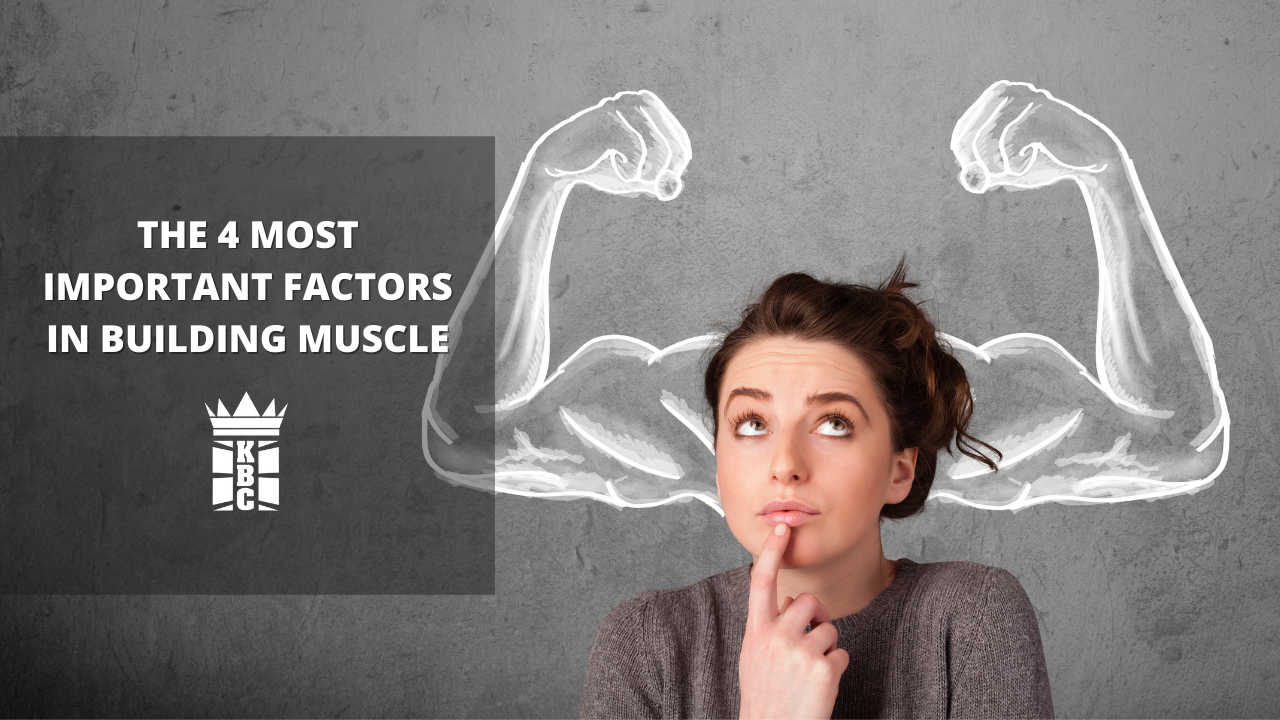 4 Most Important Factors In Building Muscle