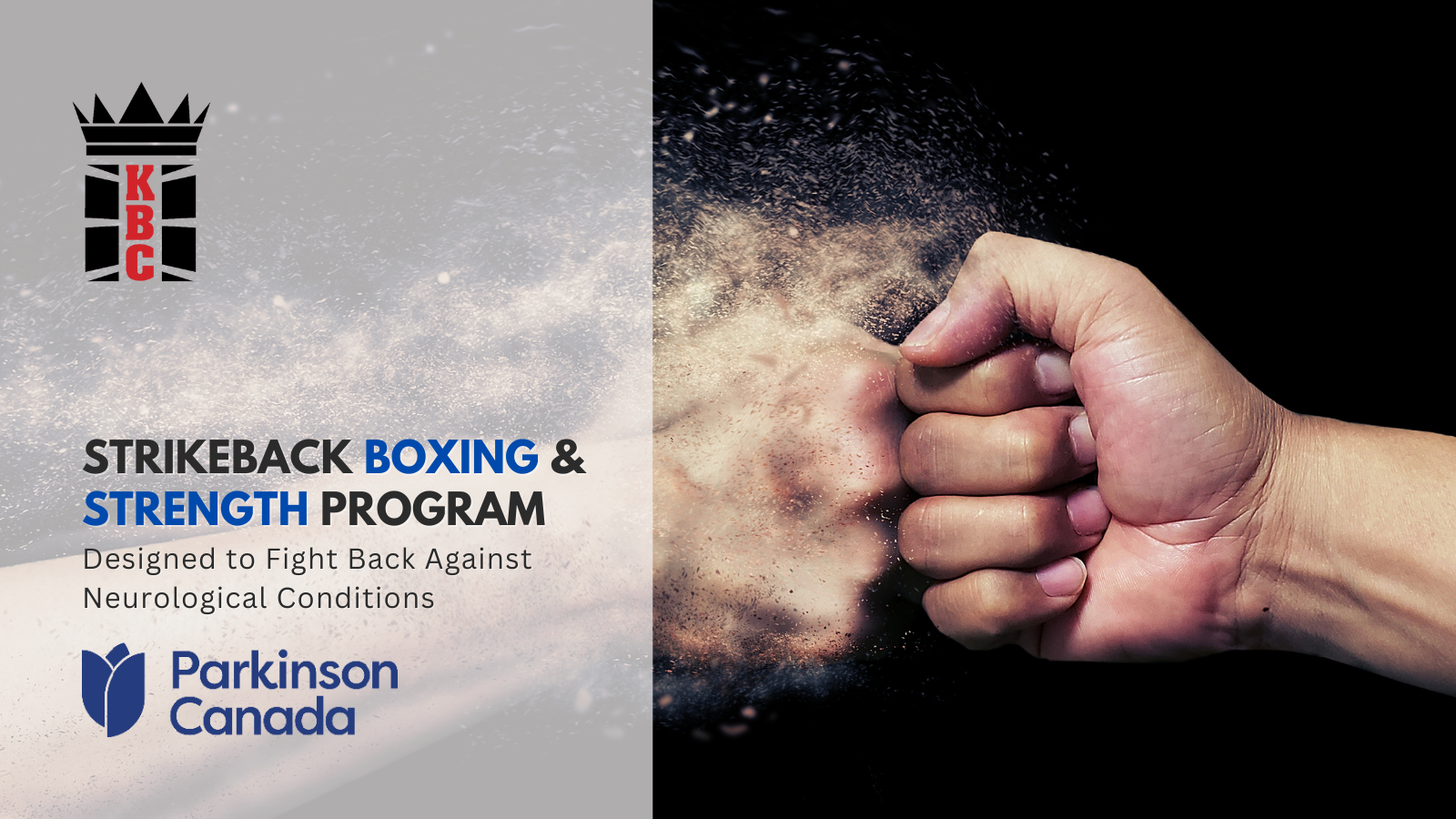 StrikeBack Boxing & Strength Program: Designed to Fight Back Against Neurological Conditions